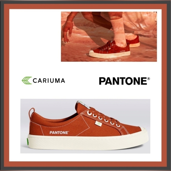 Cariama X Pantone Limited Edition Natureza Sneaker Burnt Orange Picante Size 6.5 - Picture 1 of 12
